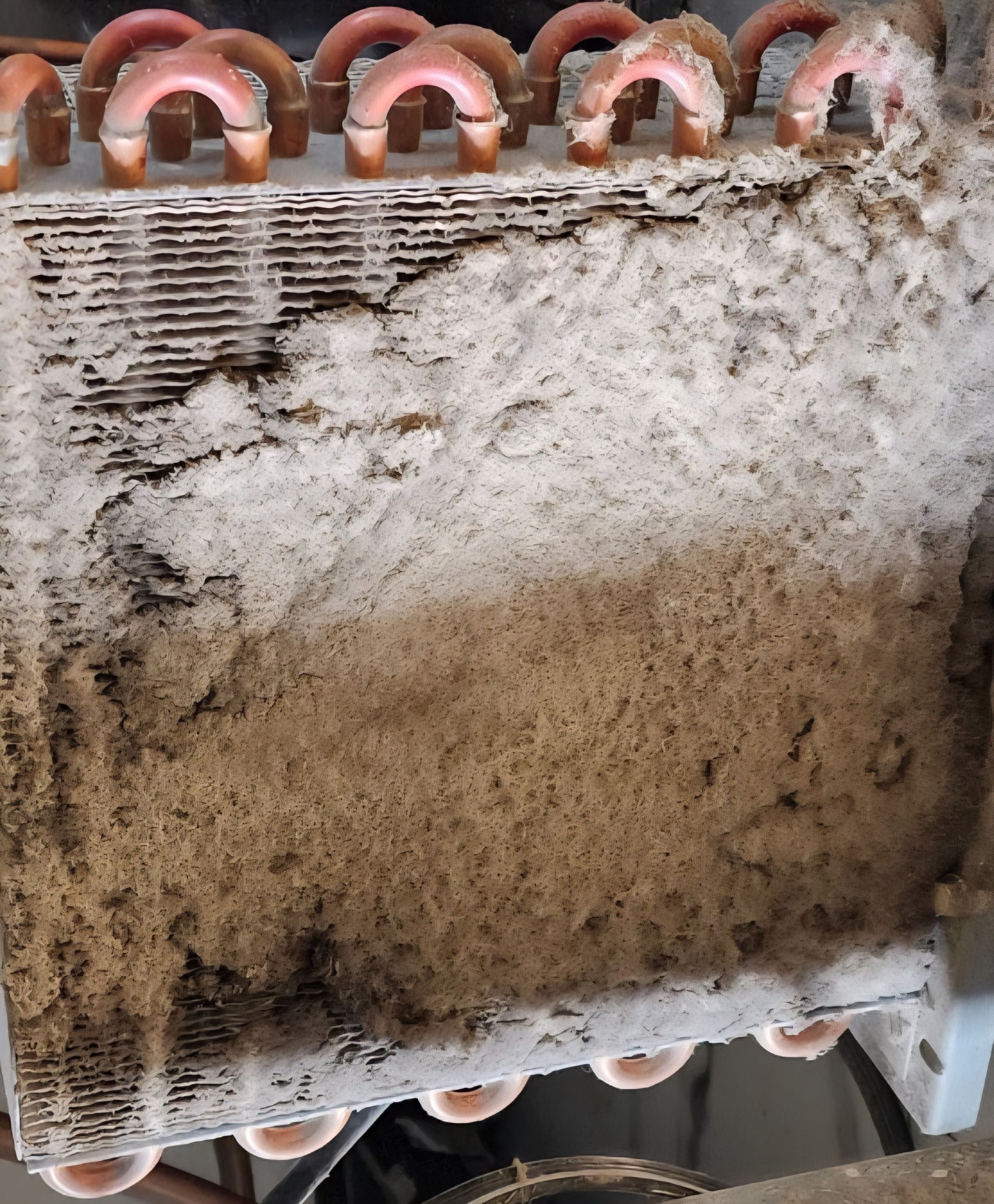 Dirty evaporator coil before cleaning